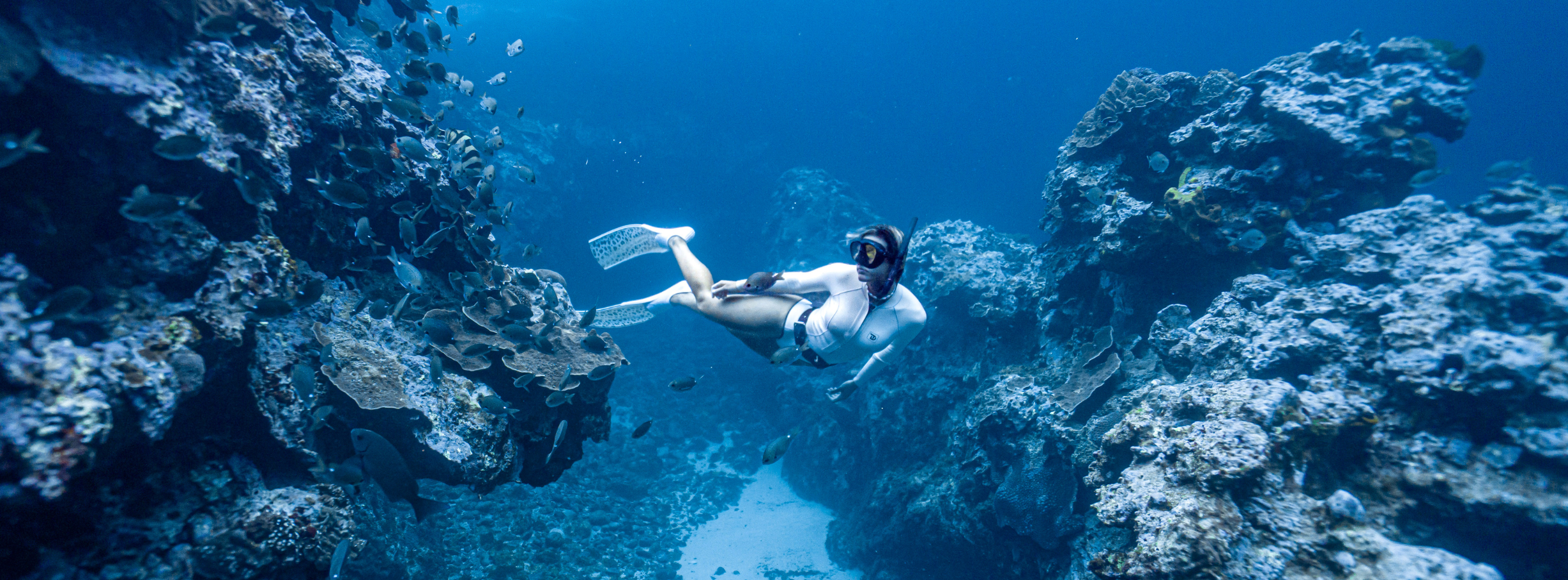 Improve your co2 tolerance for freediving and anxiety Luciana blanco villegas diving through coral reefs, long fins in heron island book-freediving-retreats